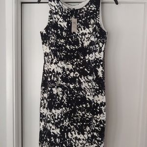 nwt ann taylor loft fress